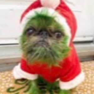 Meet your Posher, Joni